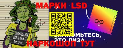 прущие грибы Краснодар