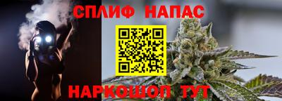 прущие грибы Краснодар