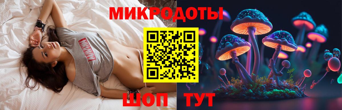 Псилоцибиновые грибы Magic Shrooms  Псилоцибиновые грибы мицелий  Кандалакша  Вход с VPN 